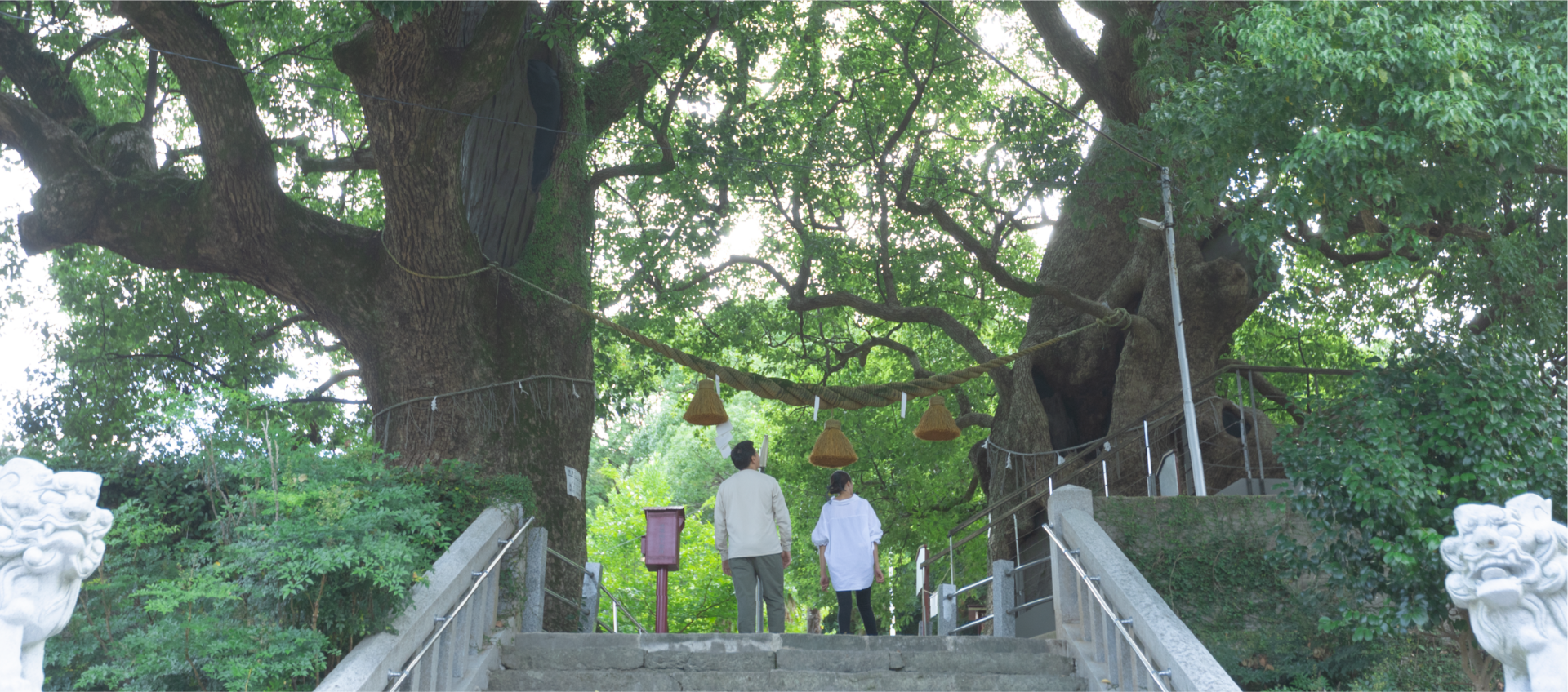 一本柱鳥居の近くの山王神社には被爆しながらも再び成長した“被爆クス” がある